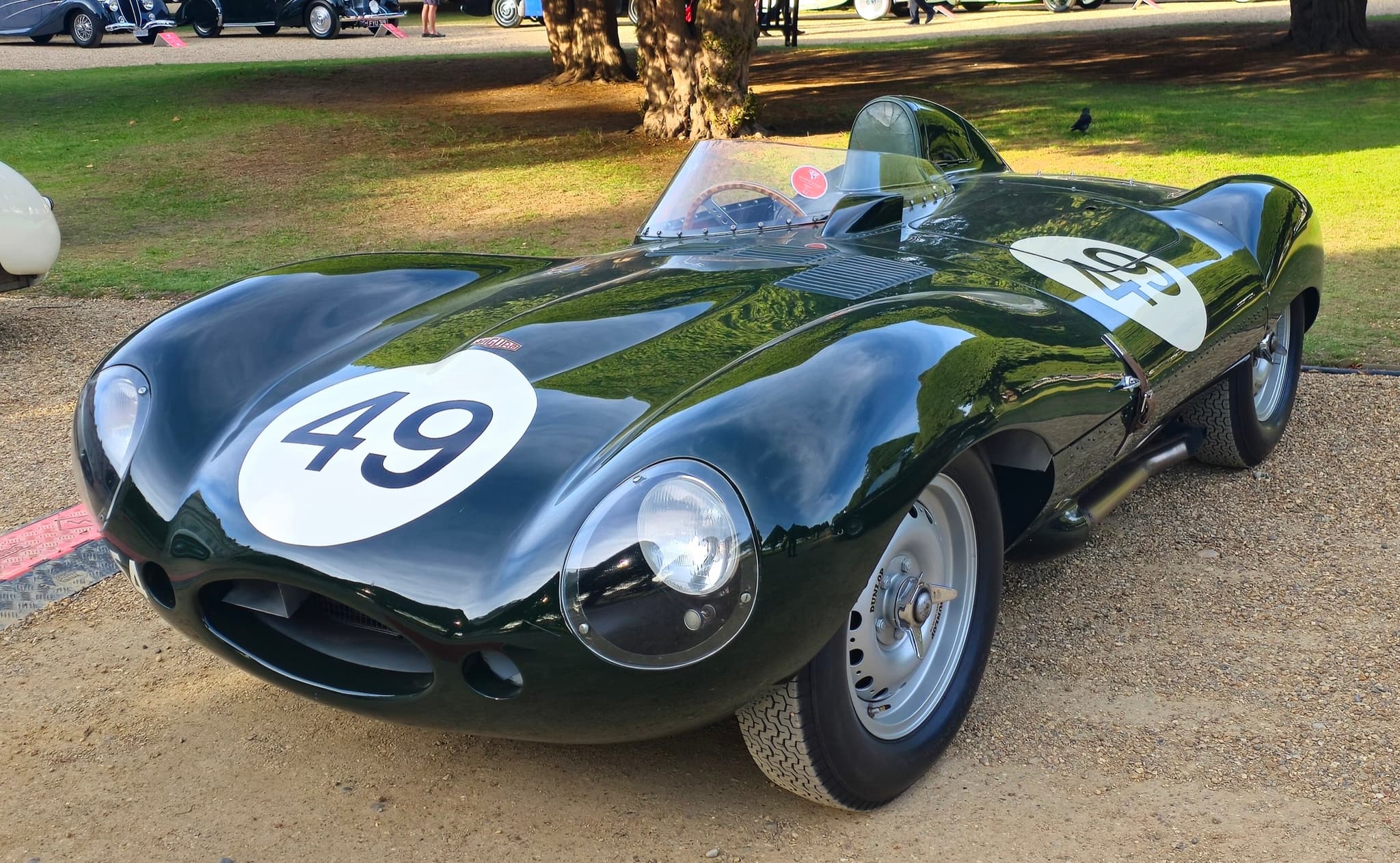 A dark green Jaguar D-type racing car with a white number 49 roundel, parked on gravel under trees at a show.