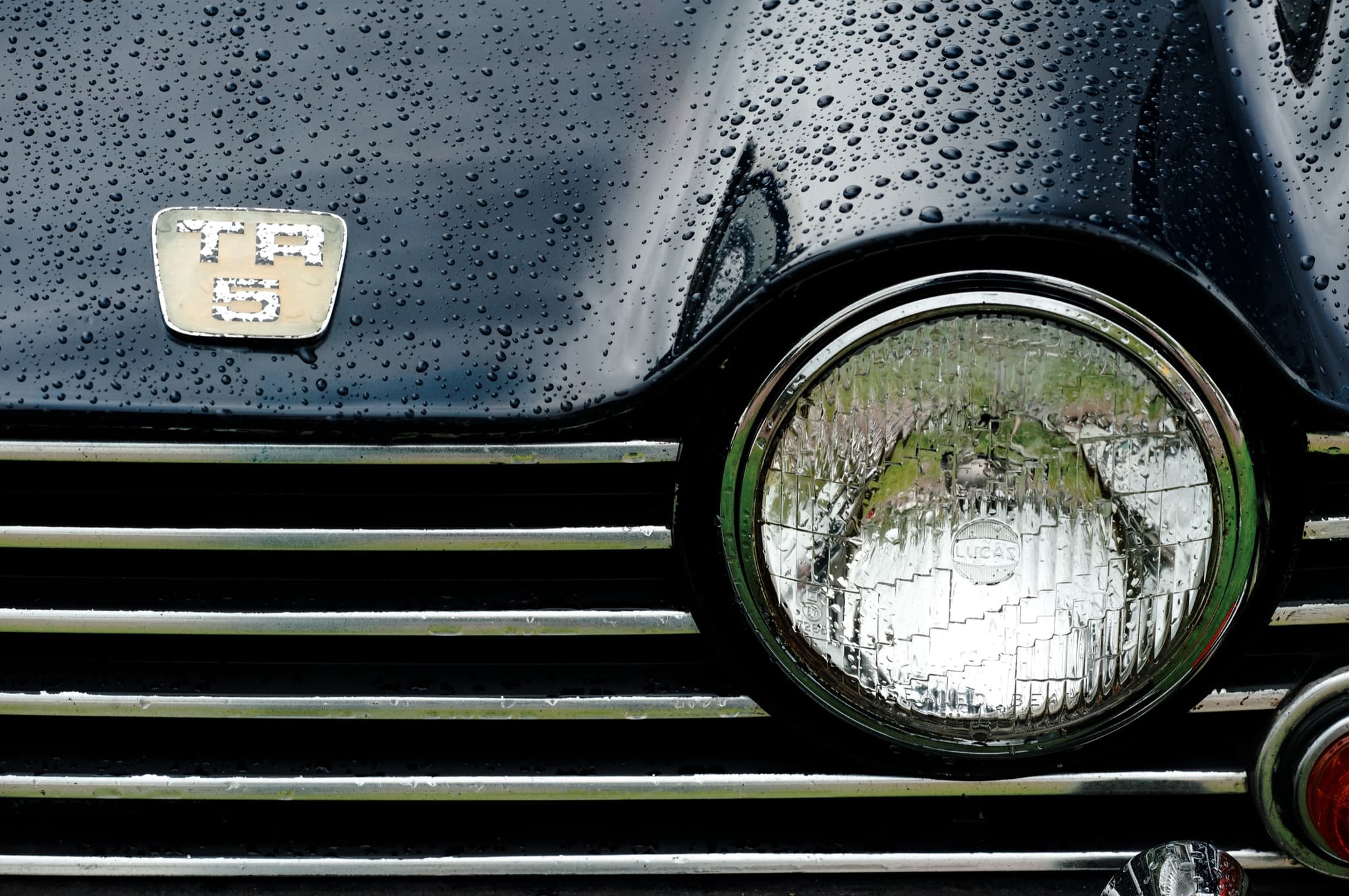 Close-up of a dark car's nose after rain: a small stacked TR 5 badge above a chrome grille and a headlamp.