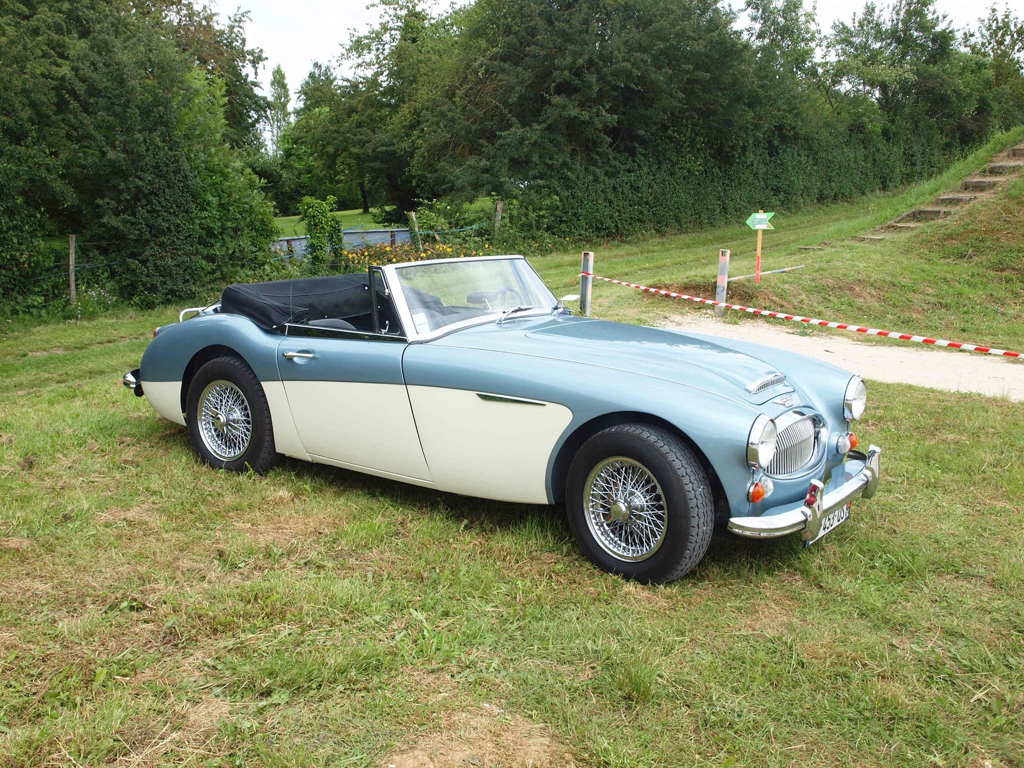 A pale blue and white Austin-Healey with wire wheels and its hood folded, parked on rough grass beside a hedge. Opens a larger view