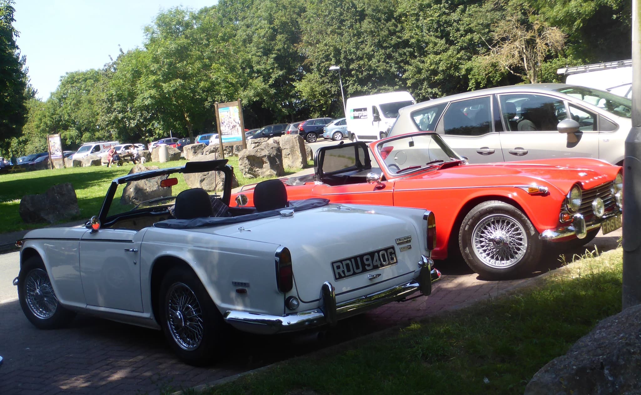 A white Triumph TR5 PI seen from the rear left parked beside a red Triumph TR4A in a sunny car park.
