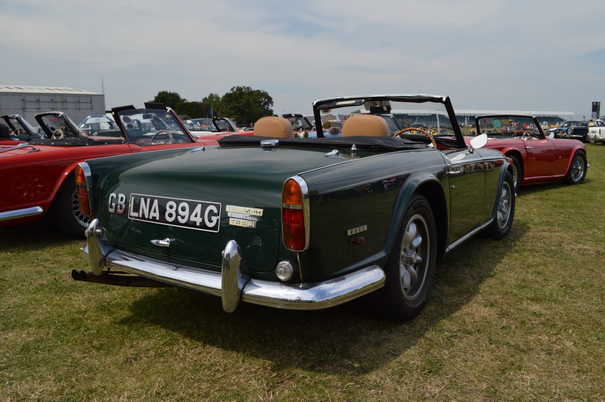 A dark green open sports car seen from behind on dry grass, with TR5 PI and 2500 badges, other sports cars parked beyond.